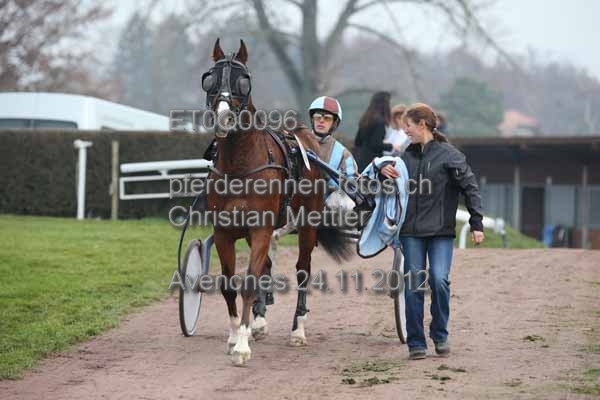 ET0Q0096 prot