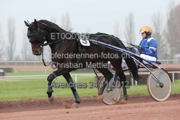 ET0Q0109 prot