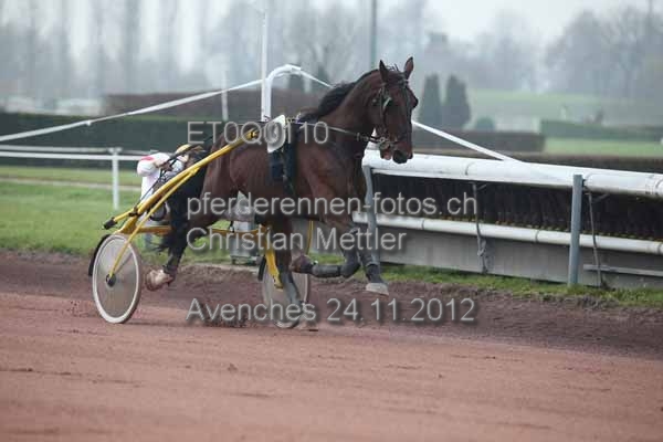 ET0Q0110 prot