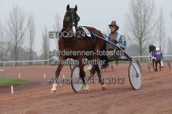 ET0Q0124 prot