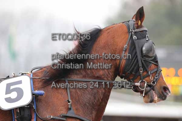 ET0Q0136 prot