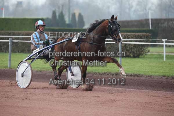 ET0Q0142 prot