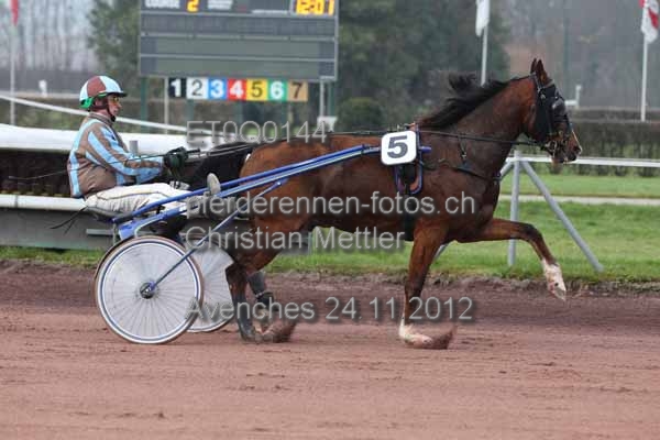 ET0Q0144 prot