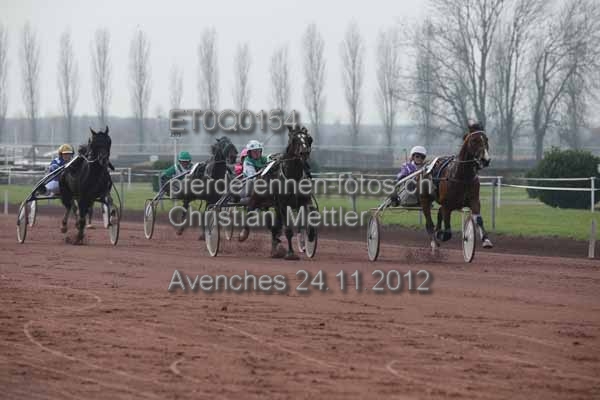 ET0Q0154 prot