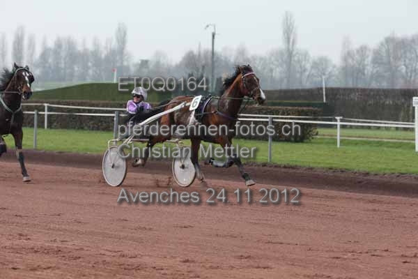 ET0Q0164 prot