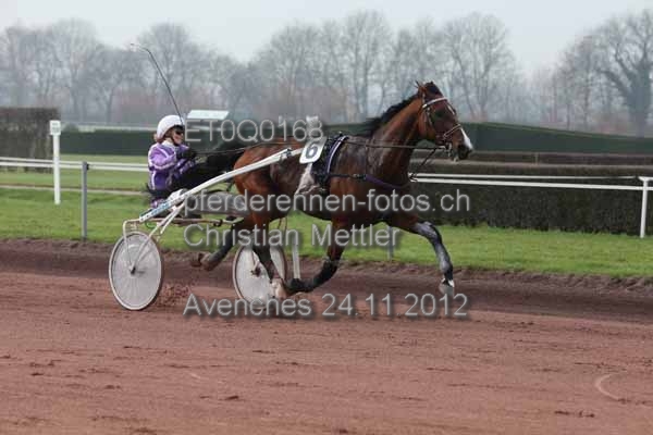 ET0Q0168 prot
