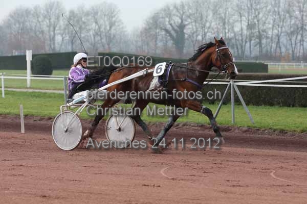 ET0Q0169 prot