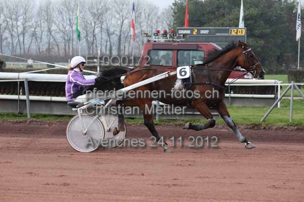 ET0Q0172 prot