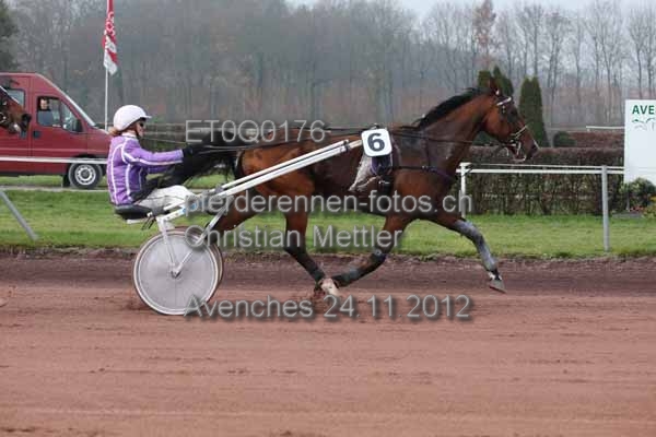 ET0Q0176 prot