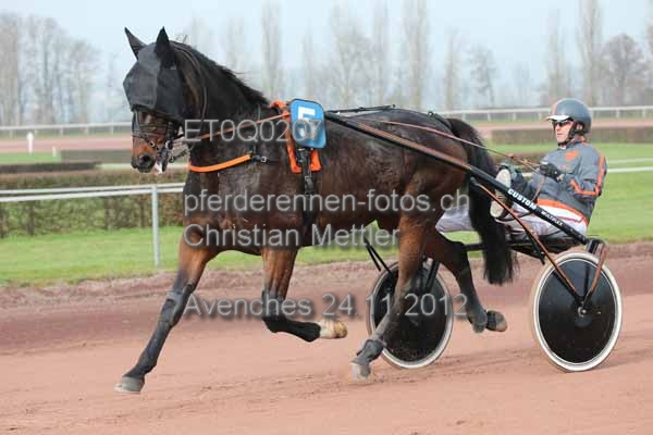 ET0Q0207 prot