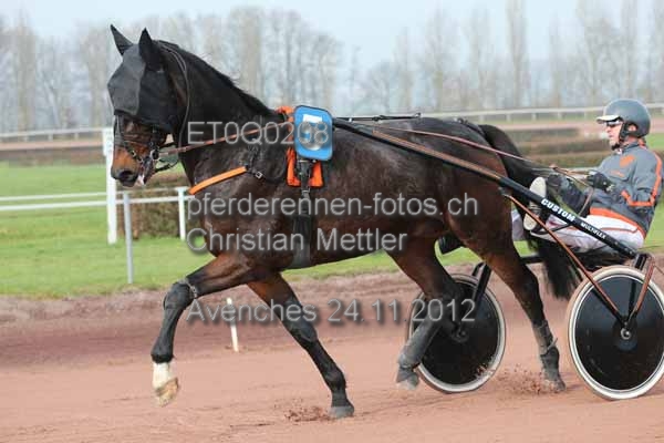 ET0Q0208 prot