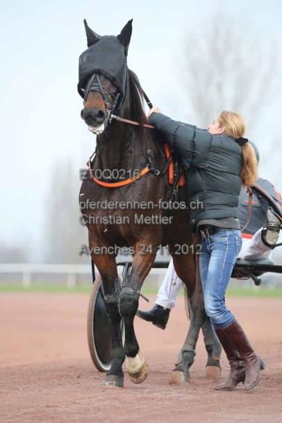 ET0Q0216 prot