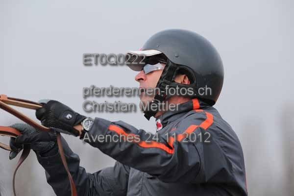 ET0Q0222 prot