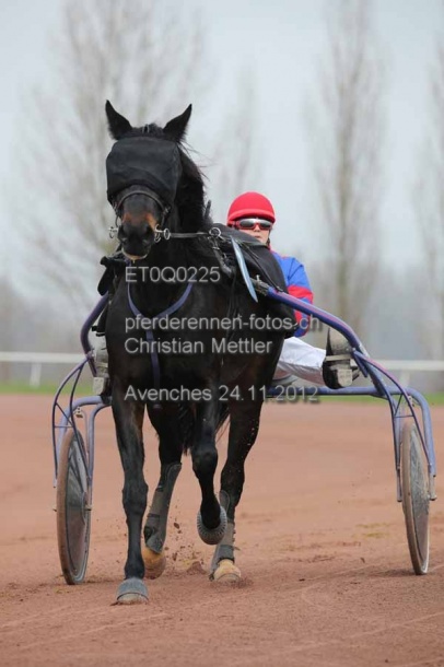 ET0Q0225 prot