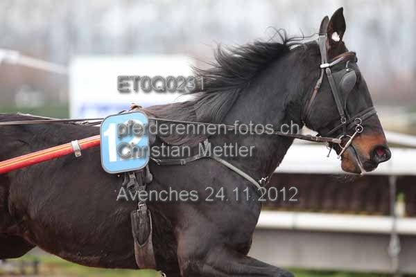 ET0Q0231 prot