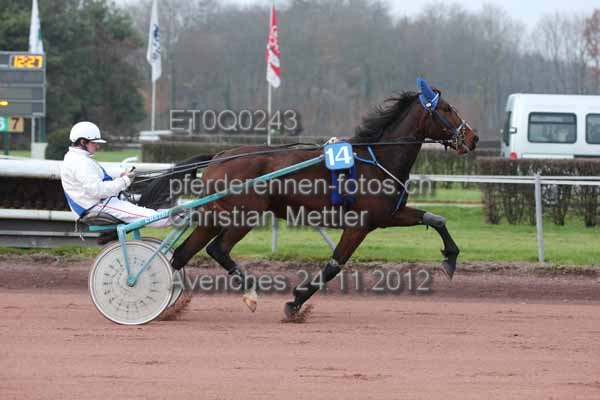 ET0Q0243 prot