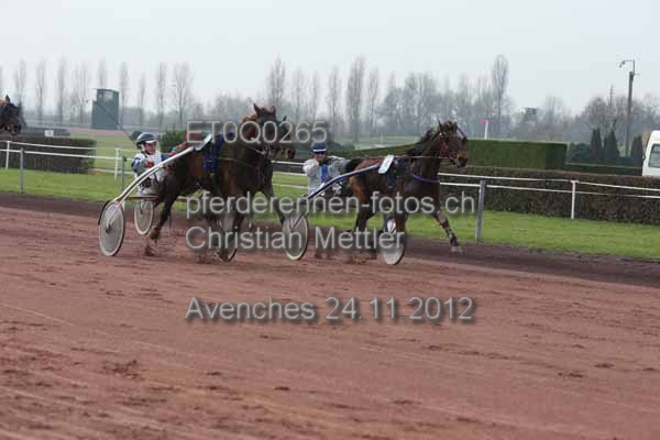 ET0Q0265 prot