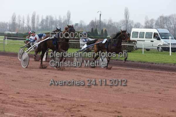 ET0Q0269 prot