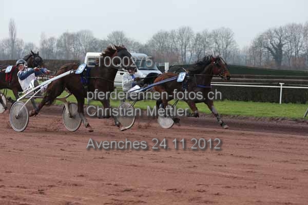 ET0Q0275 prot