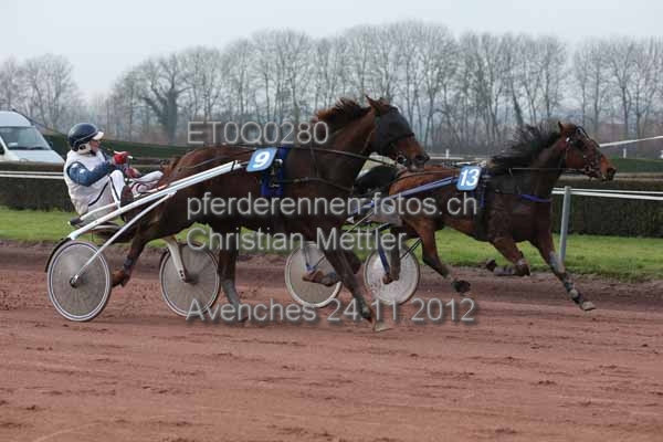 ET0Q0280 prot