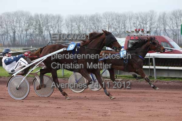 ET0Q0281 prot