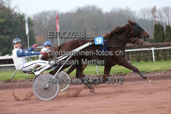 ET0Q0288 prot