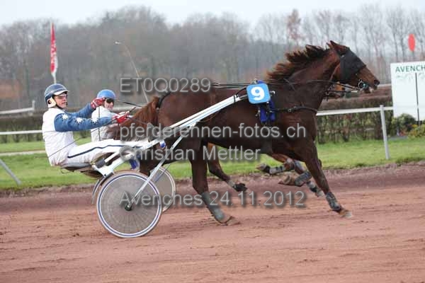 ET0Q0289 prot