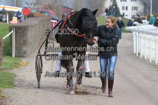ET0Q0290 prot