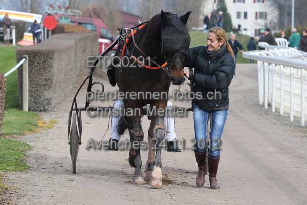 ET0Q0291 prot