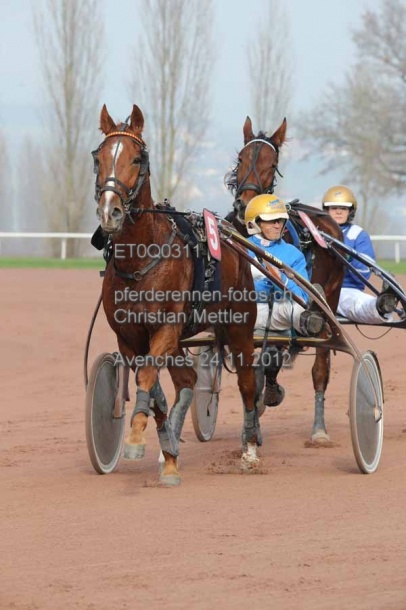 ET0Q0311 prot
