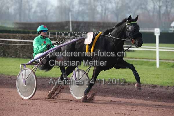 ET0Q0326 prot