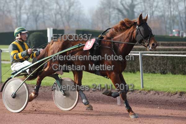 ET0Q0337 prot