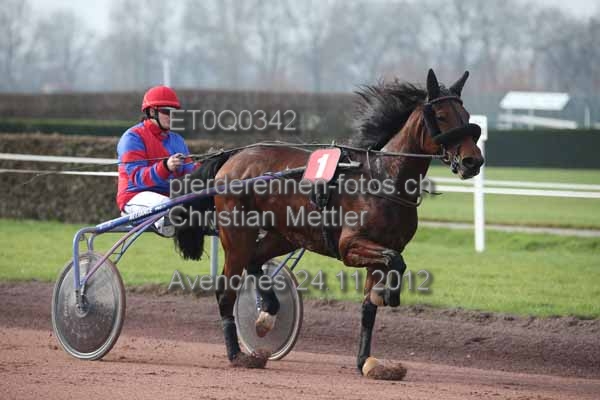 ET0Q0342 prot