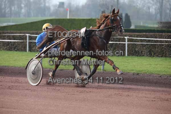 ET0Q0344 prot