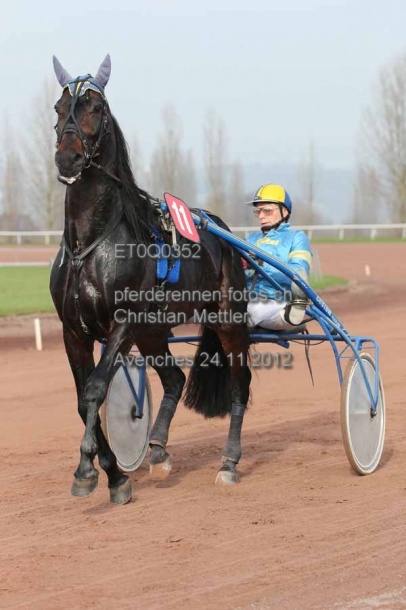 ET0Q0352 prot