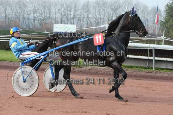 ET0Q0354 prot