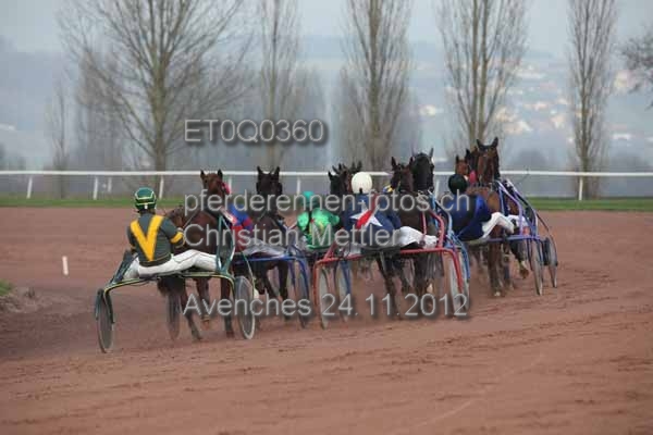 ET0Q0360 prot