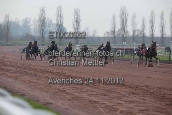 ET0Q0362 prot