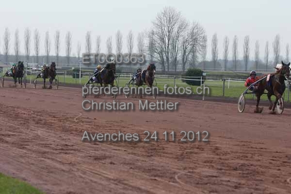 ET0Q0363 prot