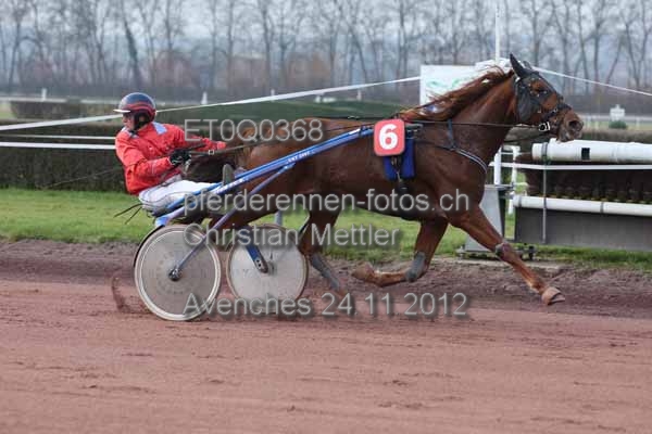 ET0Q0368 prot