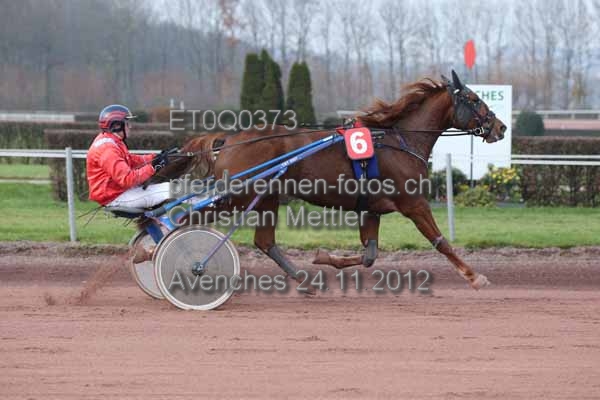 ET0Q0373 prot