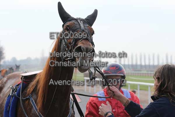 ET0Q0399 prot
