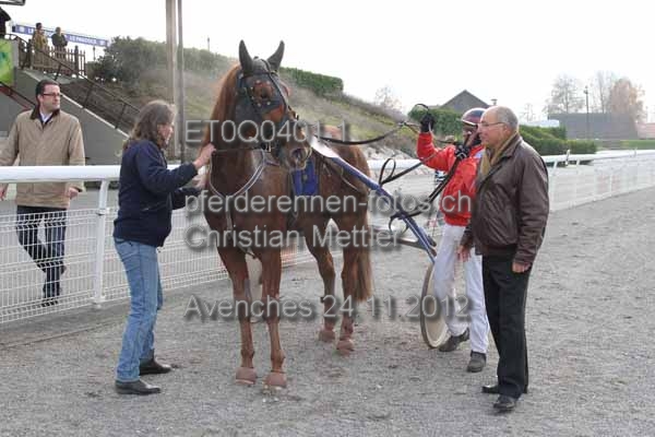 ET0Q0401.1 prot