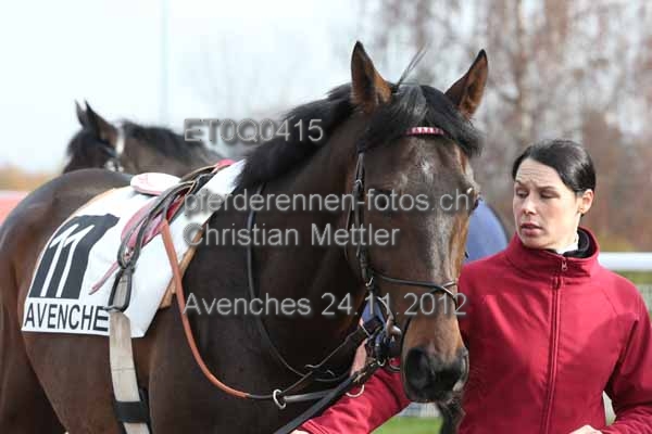 ET0Q0415 prot