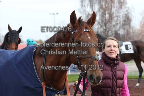 ET0Q0426 prot