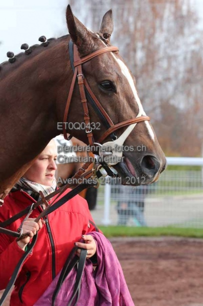 ET0Q0432 prot