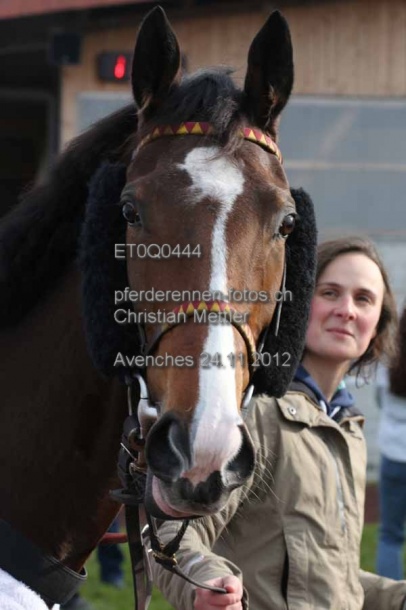 ET0Q0444 prot