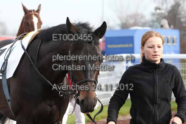 ET0Q0455 prot