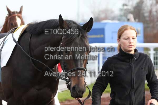 ET0Q0456 prot