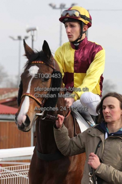 ET0Q0483 prot